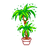 Plantita